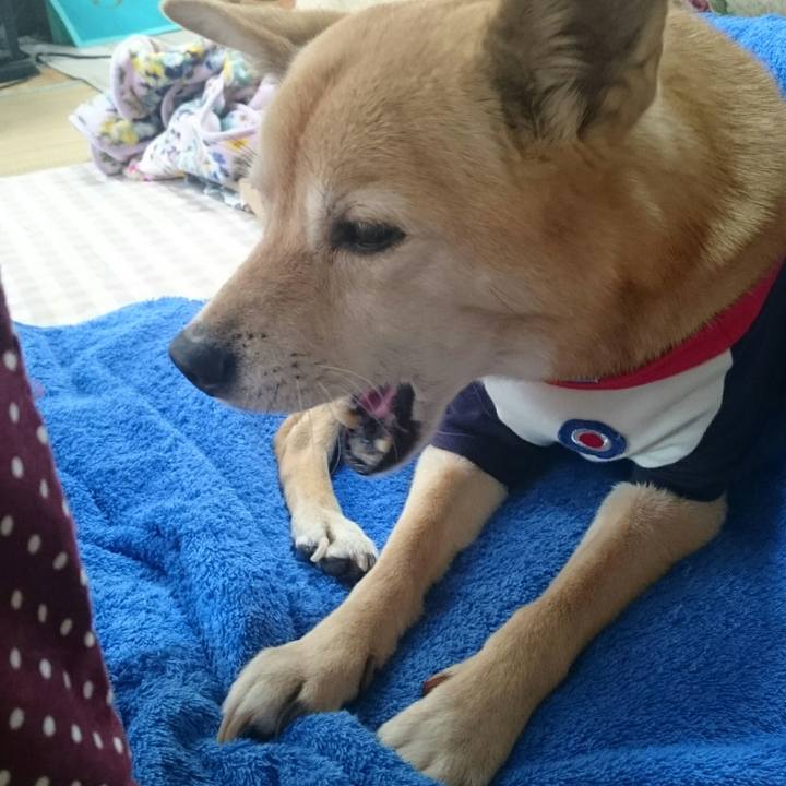 C53b74cb 3eec 4b1f 936a 8dde08a92286