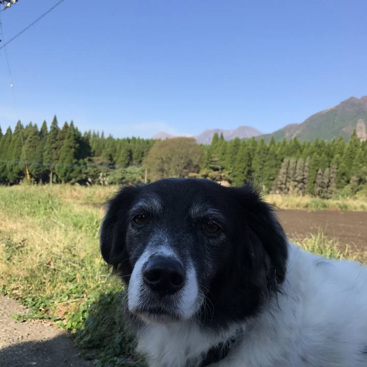 C53bb26a 749d 420c 9d26 79f287c0fbb5