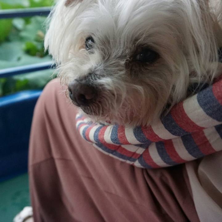 C53c69df 1f78 4d48 b2c1 93f6b847e82e