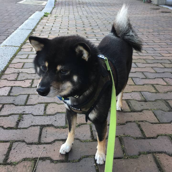 C53ca6b6 ab17 4ab0 b5e6 95ea5ccb17dc