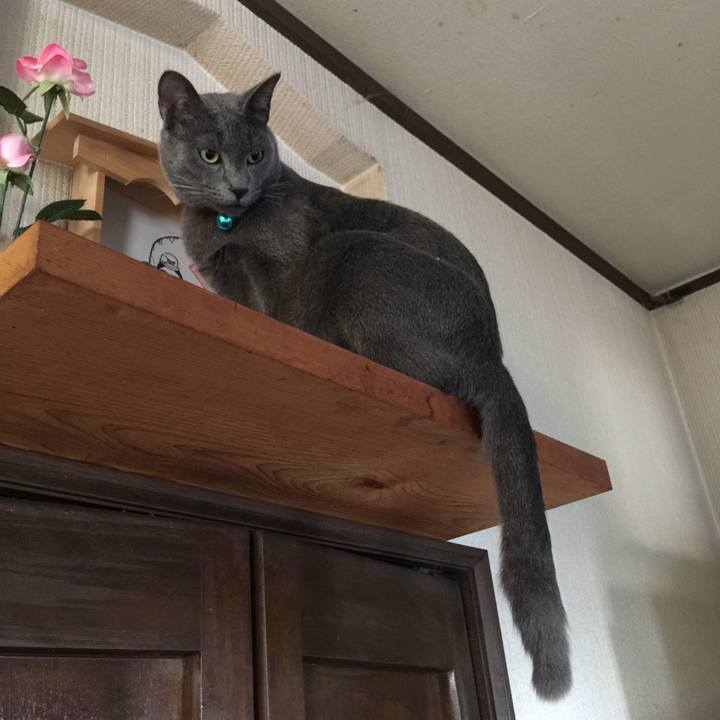 C53d596d e9e7 472b a69f 6858db98c894