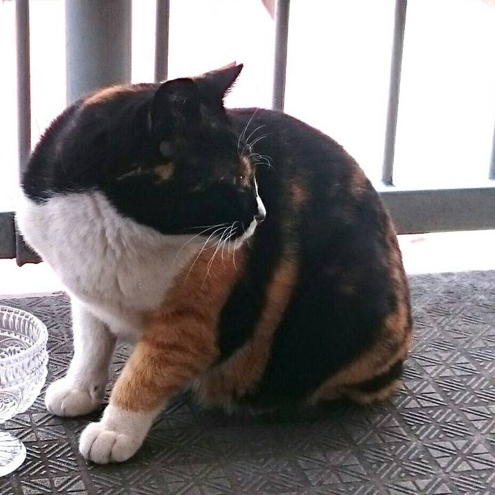 C53d9da2 099d 453e a42c c2d5d33e4163