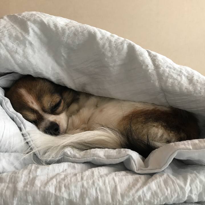 C53e0ba0 76bc 49fb 87ec b69885b8dd4f