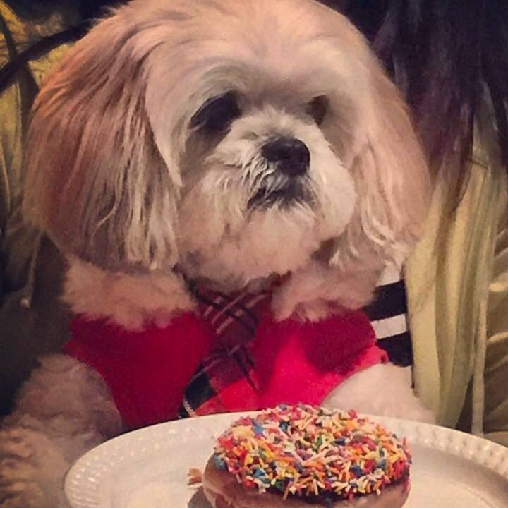 C53e4dbd ea07 415e bd4e 1d98e53f2cf3