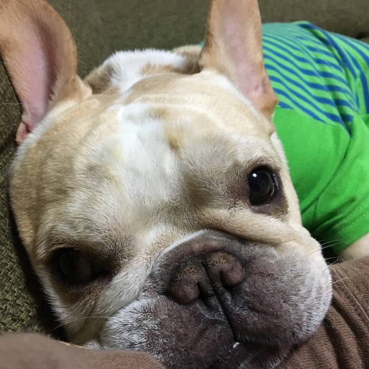 C53e5a89 6211 4913 8b79 51a082ffed6c