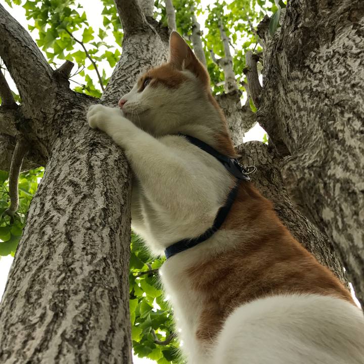 C53e64aa f9bf 483b aeb5 489e08c6bb4c