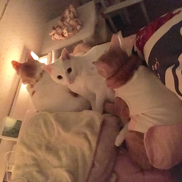 C53ea90b fcca 460d 90f3 5c5ecd3a7cbc