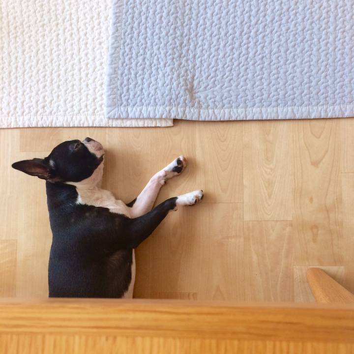 C5401f3e a0e7 4855 a2ea 161d3d430592