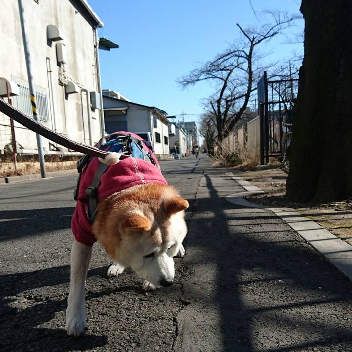 C540ea2b 9ebe 4d6e bc33 617f846f9910