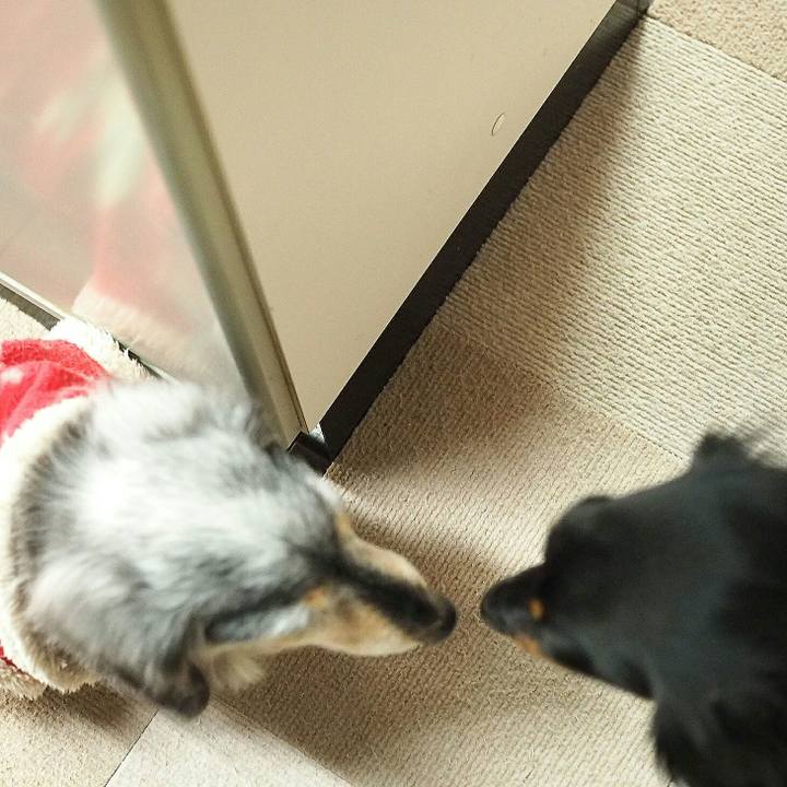 C541282e c5f3 4068 aebd ec47aeb23654