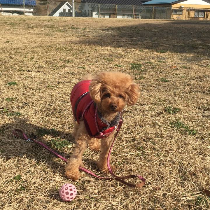 C5419e82 5788 4e11 bafd 5294acdc2bd8