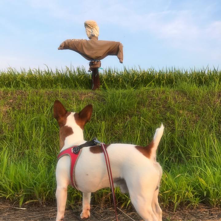 C541ab7e 25d4 4ed6 952a db42c62bb646