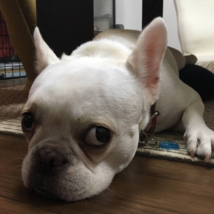 C541fe22 620a 4859 9d5d f7851d8520b5