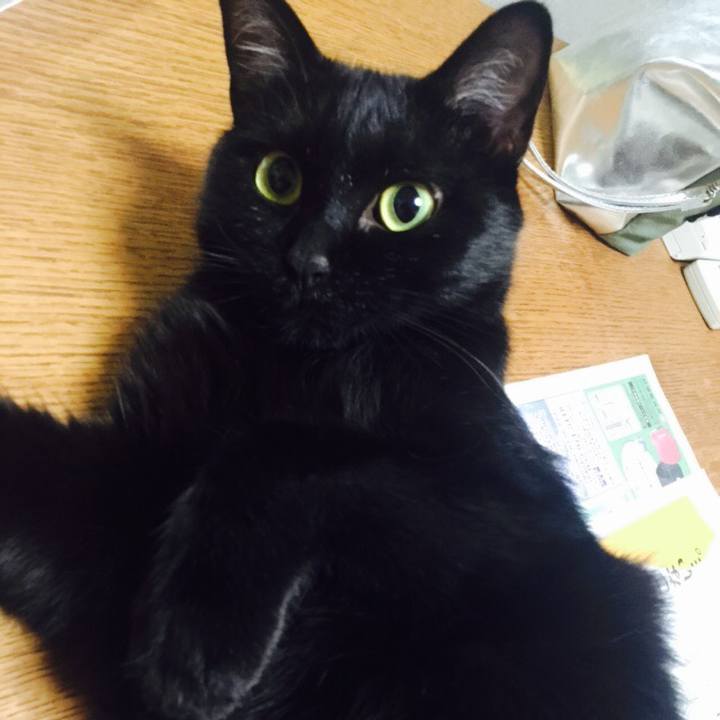 C54239e2 a8f3 42d8 b192 0ef51bd950f9