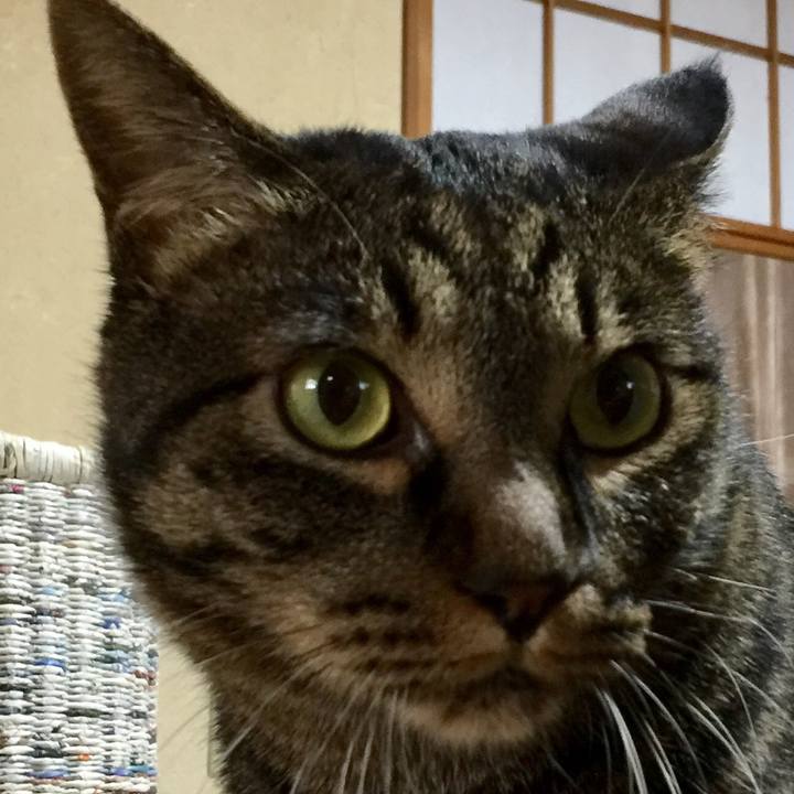 C5426f93 73b0 45f3 8d29 4371c1aae974