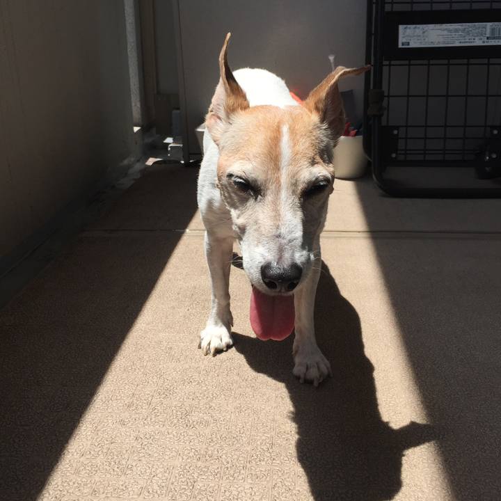 C542b85b ebf7 41e8 8067 513e5c57b5b9