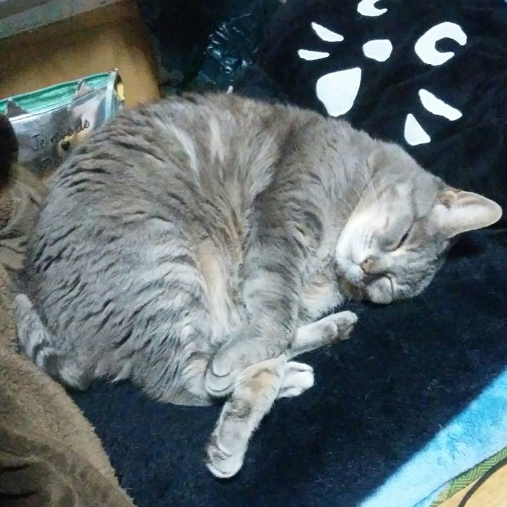 C542d49a 768c 4e88 8ad8 c3f893cc17e0