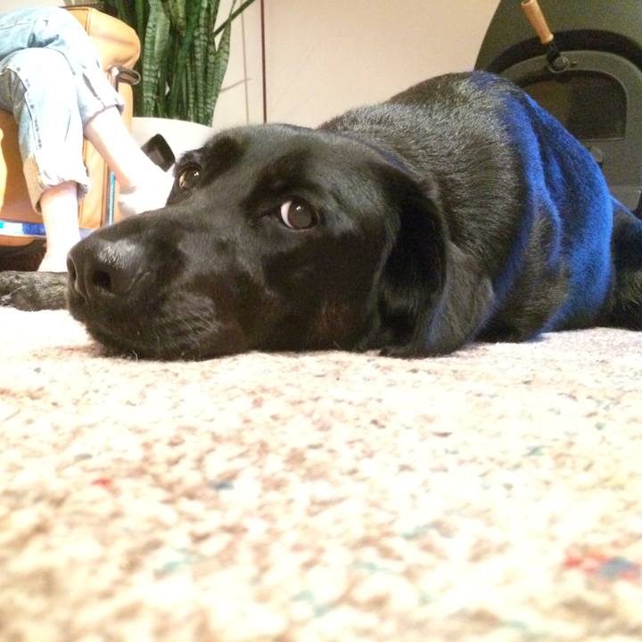 C54369c2 b5ee 4d9f a0fd 795965352652