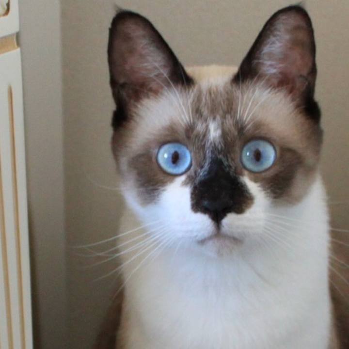 C543cfc6 0e8d 44d2 b5fc 71fba23978c4