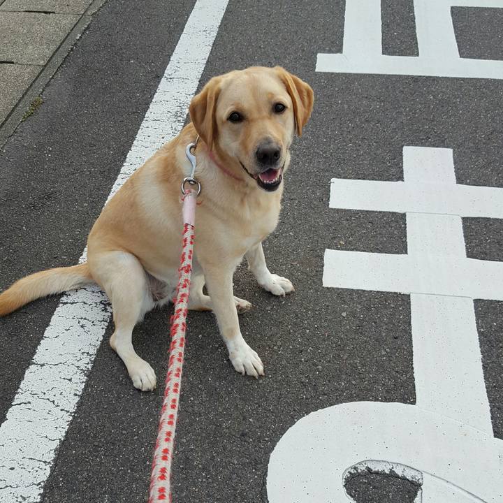 C54403f0 3daa 451e 8206 0e968b01ee30