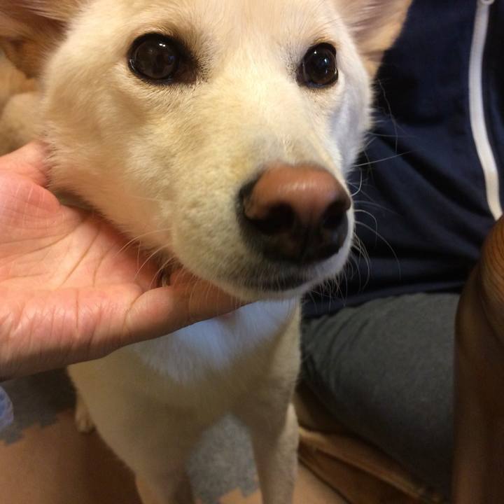 C54427c7 5bf4 4163 b59f 6fba26c45065