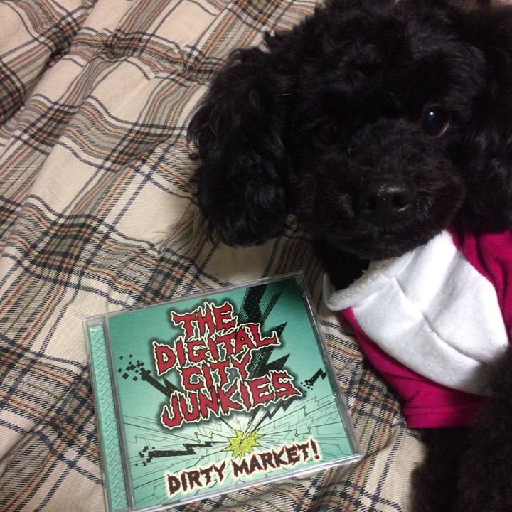 C5444de5 400c 4a2a bfeb 4e41bb66fe66