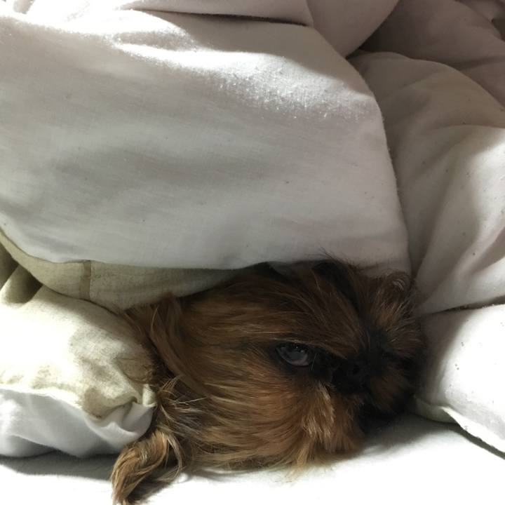 C54541c4 bd4e 4fbc b8b3 e128830476be