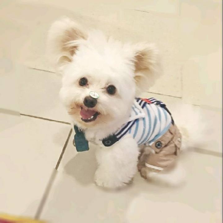 C5455f82 248f 4e95 b050 1a773d9c503a