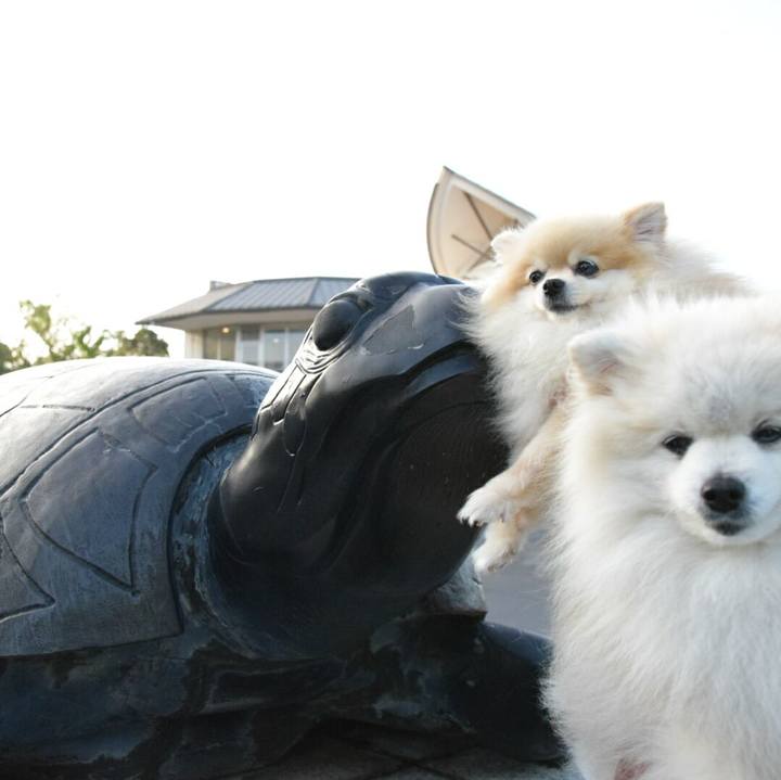 C54612bc fe70 4244 9e28 a3570533bec7