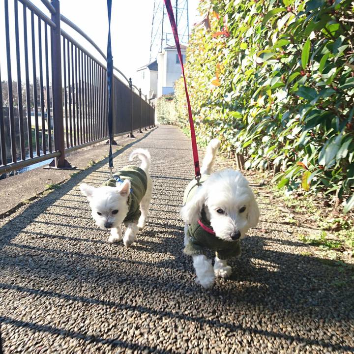 C54614c2 272a 441b a26d 5de49d962240