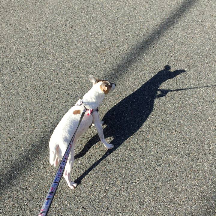 C546947c 384b 4951 969f 2b3aece6a861