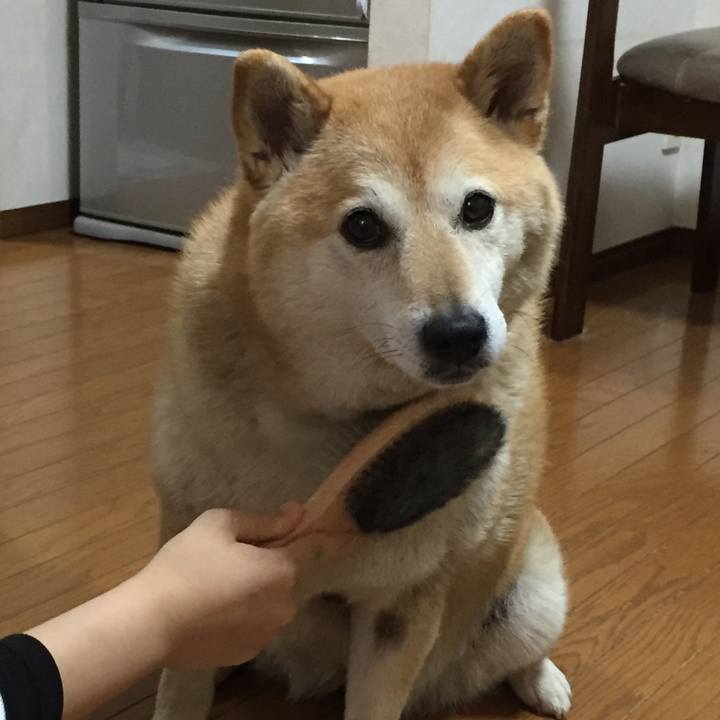 C546b550 d7a4 457e a4d5 b0b4e32005f2