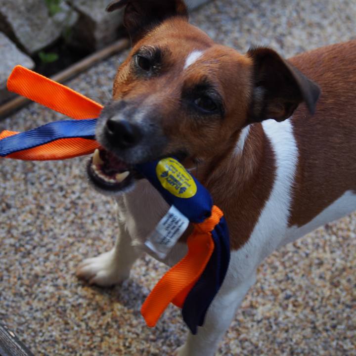 C547715a 2ebf 4ca3 b62b 49a5feb19910