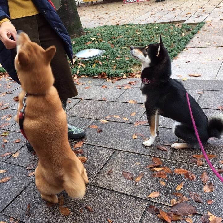 C5479fba e1e5 402f a8b6 6bfb8347c36c