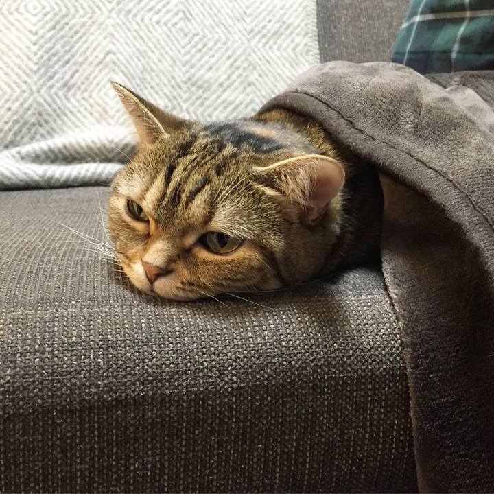 C547e1b0 a968 46f9 ae92 ca2652db5646