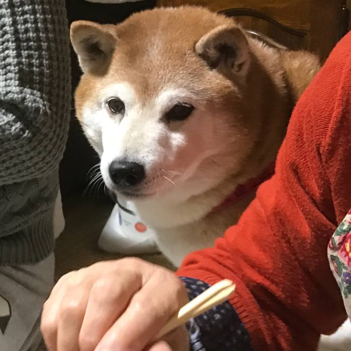 C547ee59 775c 4f39 ba67 369a3c6951c8