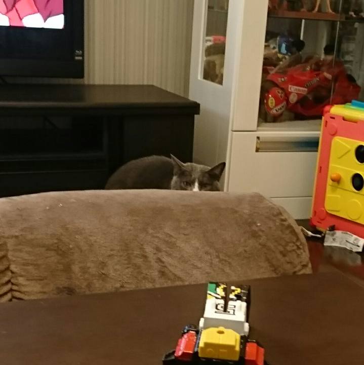 C549196c 7e1e 4892 a1d6 49133e6d523e