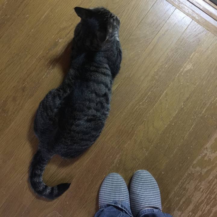 C5492656 5100 4a91 b3cb 95eea4799768