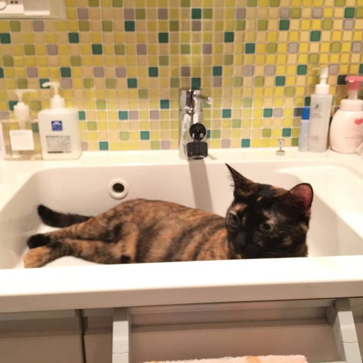 C549338a 28e9 41e3 a7df 8b1edf50c0db