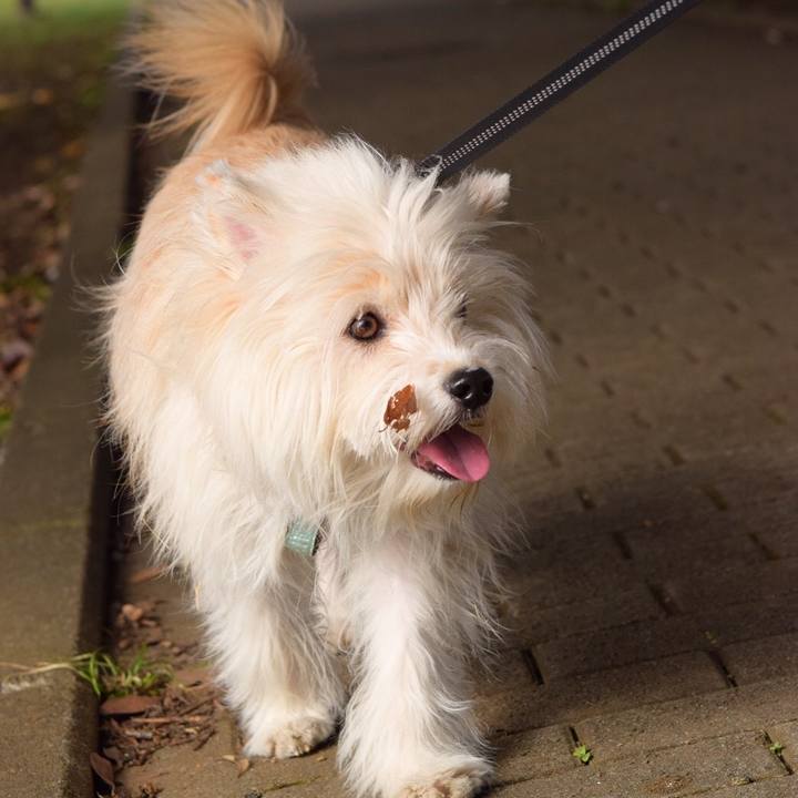 C5495357 1104 4276 b226 db77a90e997e