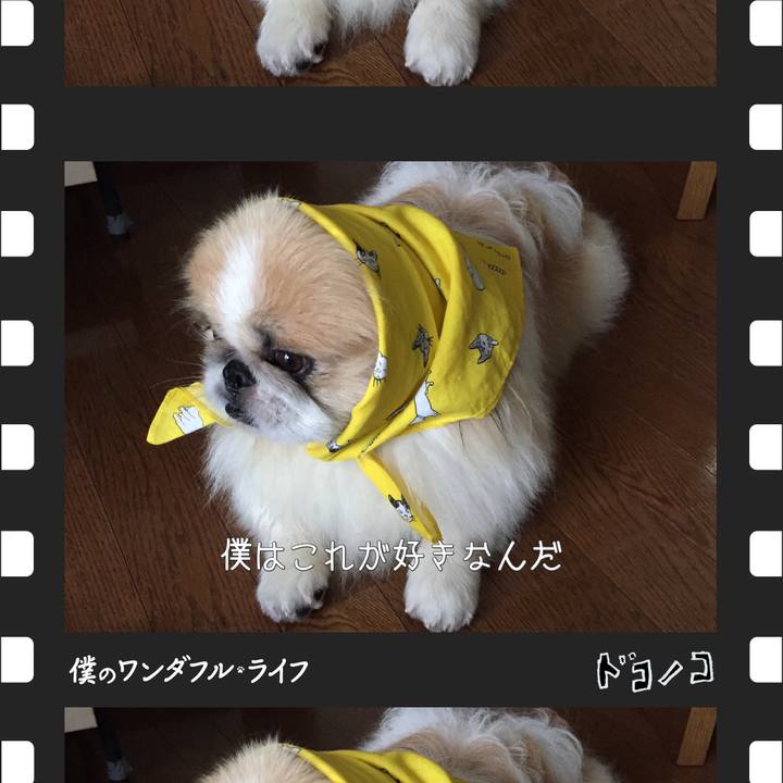 C549e395 5953 4318 973b d56aa6e23f60