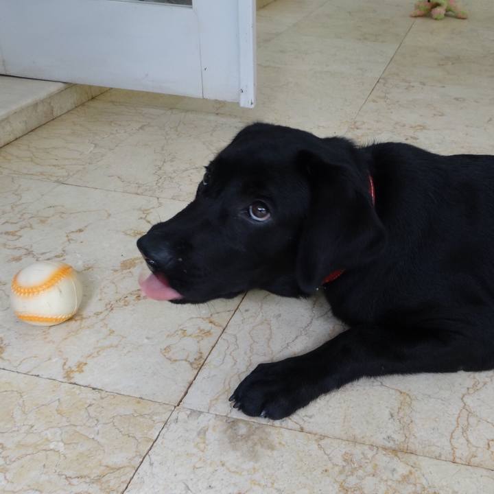 C549edac 8f5f 4b14 a5b2 4e14eefa4b6e