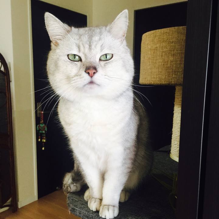 C54b2ae0 6b3b 4db5 af5b 282cd5fe356a