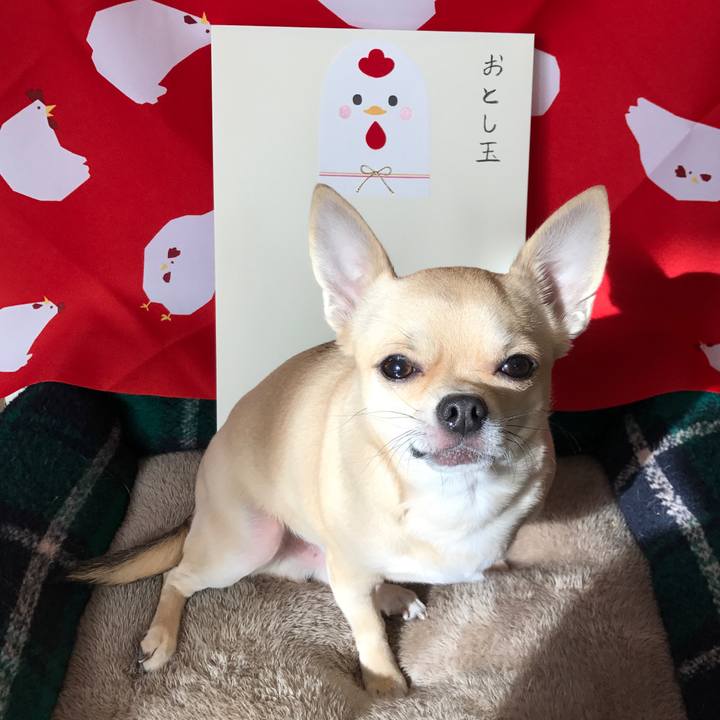 C54b4e4d a0d4 4d2a 8866 cc8c197f0c28