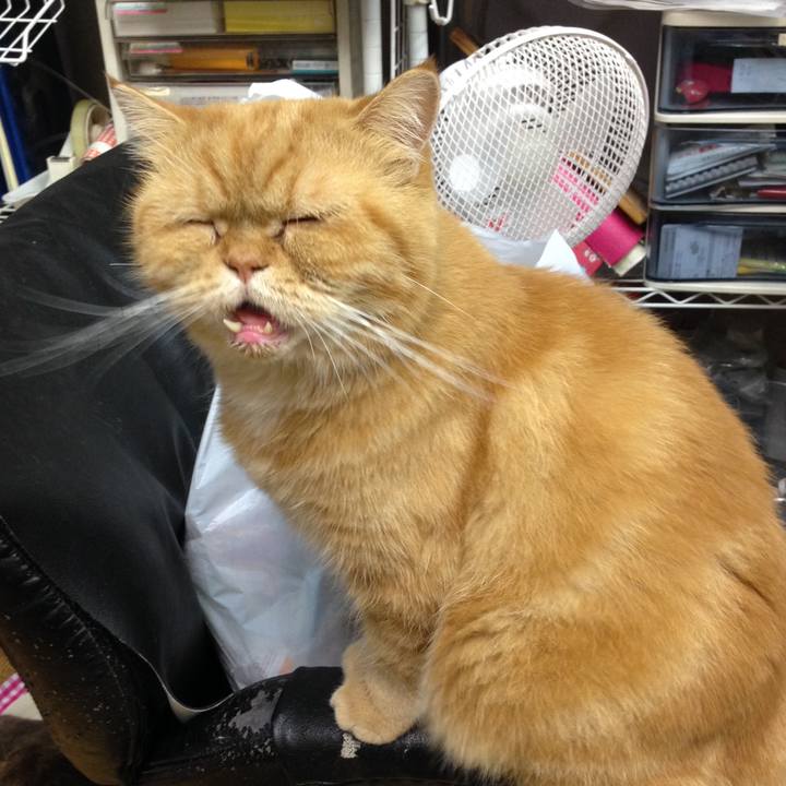 C54d5f4a ff4b 4a22 a9d1 1dac57e62baf