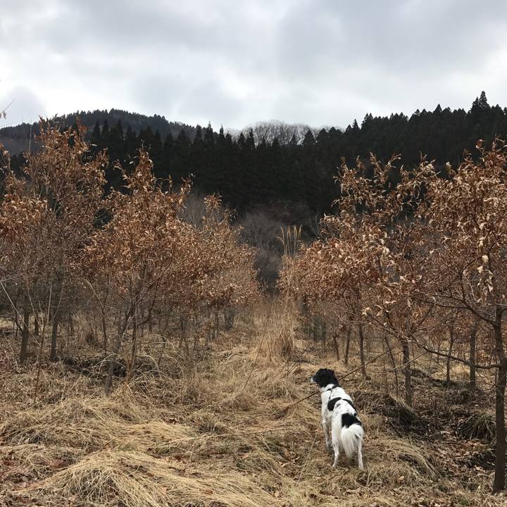 C54dcd25 ab64 4163 a3bd b962ab731f8d