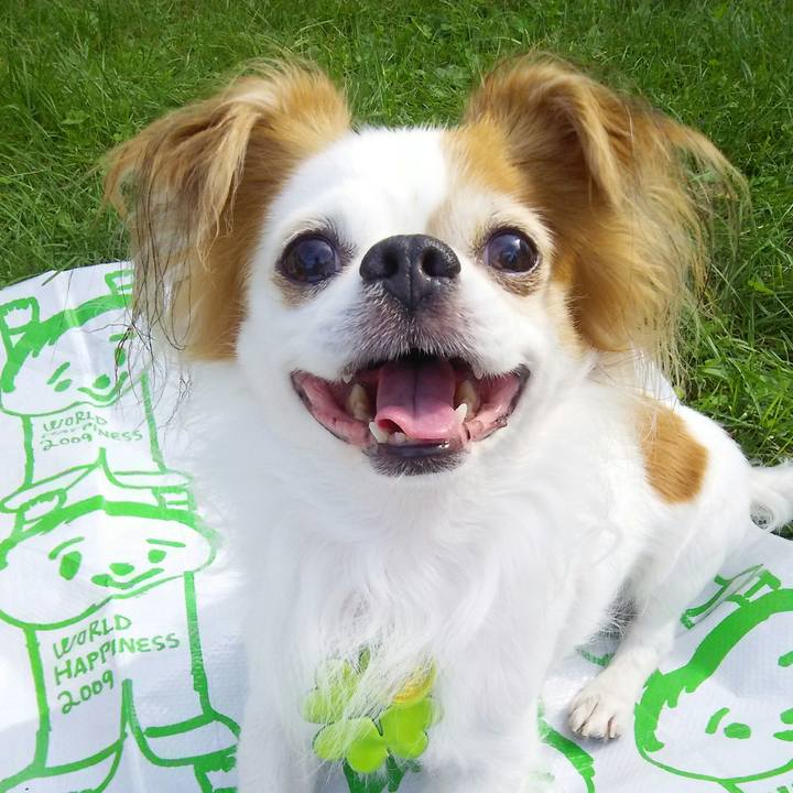 C54e3d48 21e3 44f5 9d95 1da04f2b1a97