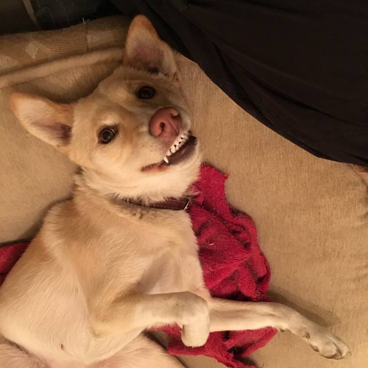 C54f34e7 ee0c 4987 9408 c8d67607bf41