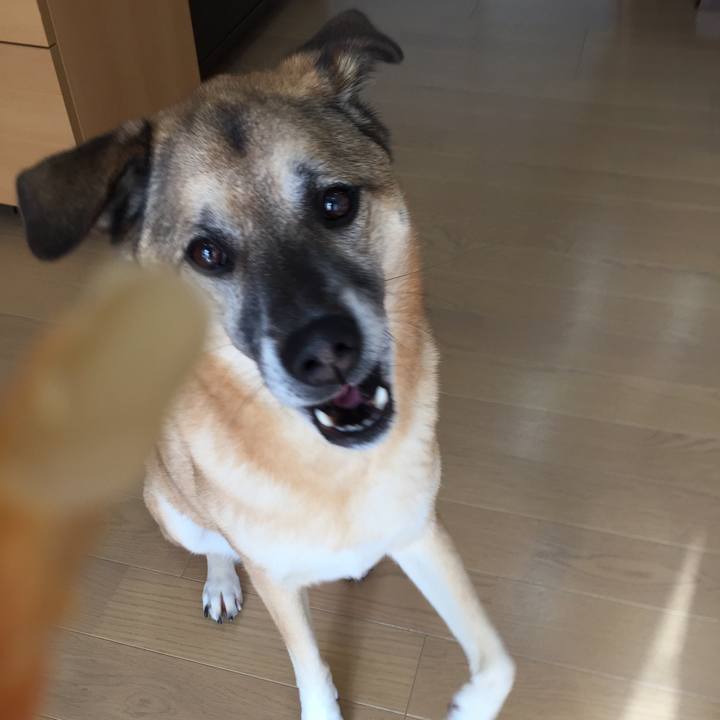 C54fb70b 99ba 48c7 9780 841853b1ce04