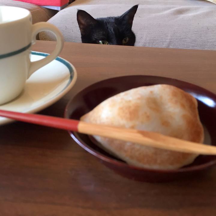 C55015f4 3272 45d4 b676 025d350df196